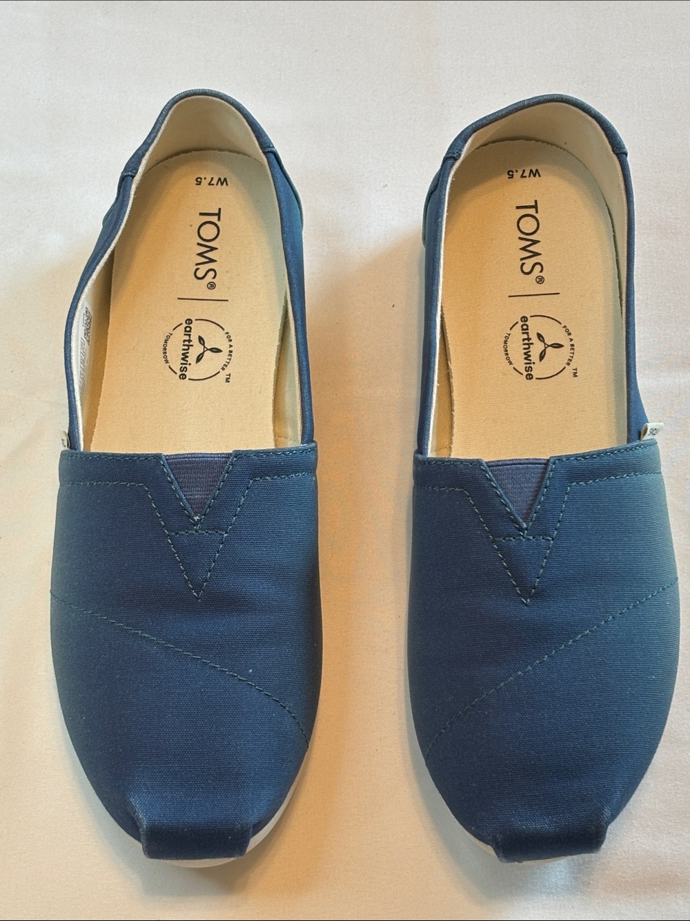 Toms Blue Canvas Slip-On Loafers